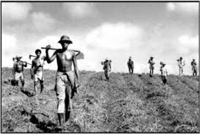 LEY DE REFORMA AGRARIA