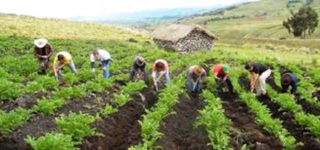LEY DE DESARROLLO AGRARIO