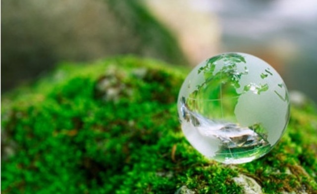 Decreto 1974 del 31 de Agosto de 1989