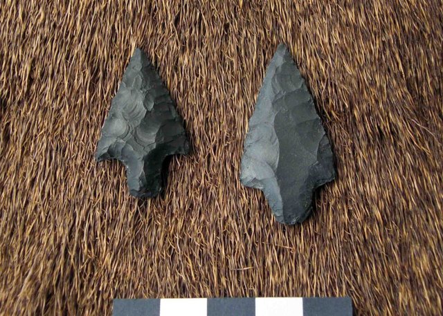 arcos flechas y arpones