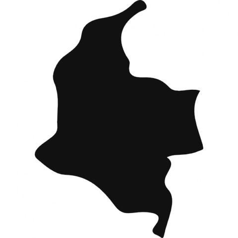 8 universidades colombianas establecieron un programa de educación a distancia