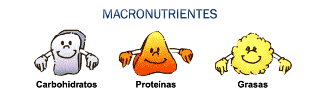 Macronutrientes.