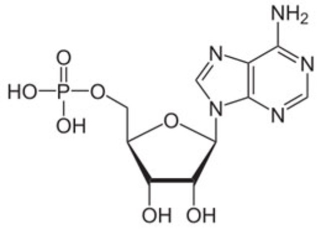 Formación del nucleotido