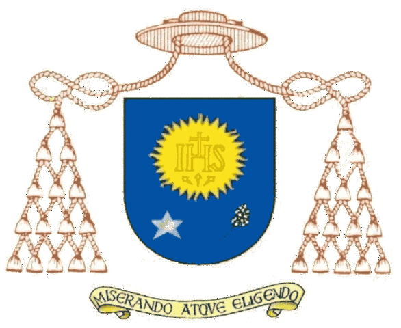 El Arzobispo de Buenos Aires en el Patronato Español