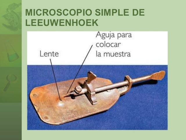 PRIMER MICROSCOPIO