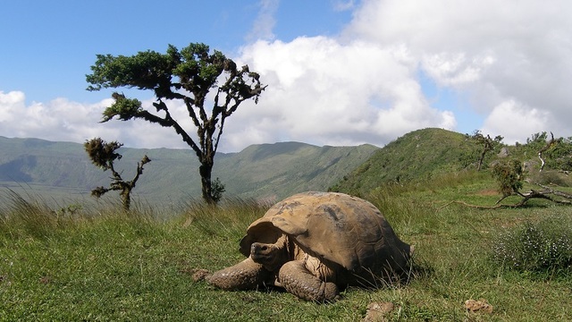 DECLARACIÓN DE GALÁPAGOS  CUMBRE DE AUTORIDADES DE TURISMO Y DE AMBIENTE DE IBEROAMÉRICA Y EL CARIBE