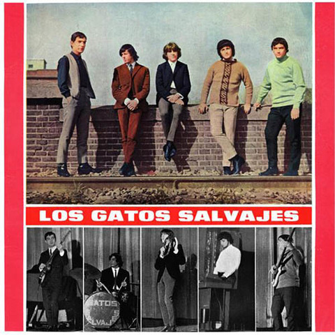 1965 EN BUENOS AIRES  LOS GATOS
