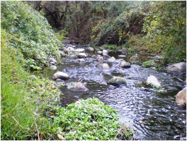 Paseo de sanguandingas