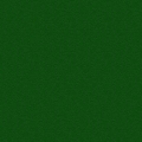 Women of Manitoba get to vote