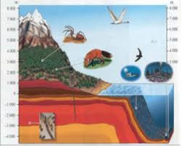 Los naturalistas  (Siglo XVIII)