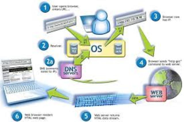 Domain Name System (DNS)