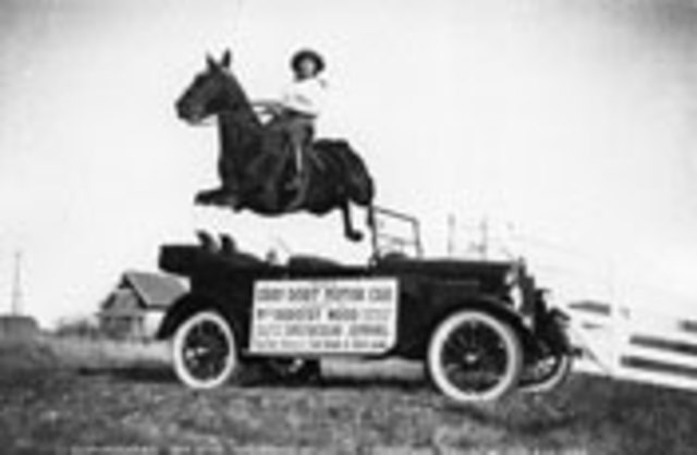 Automobile Industry (+2)