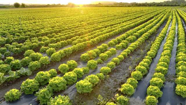 Sistema de riesgo para la agricultura