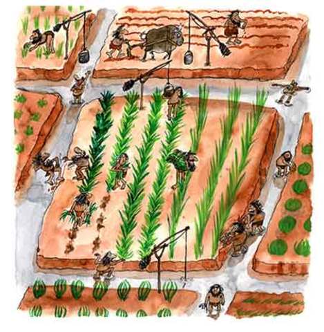 Sistema de riego para la agricultura.