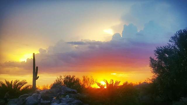 Cave Creek, Arizona  (Basecamp)