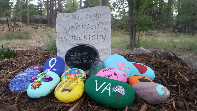 Kachina Village, Arizona