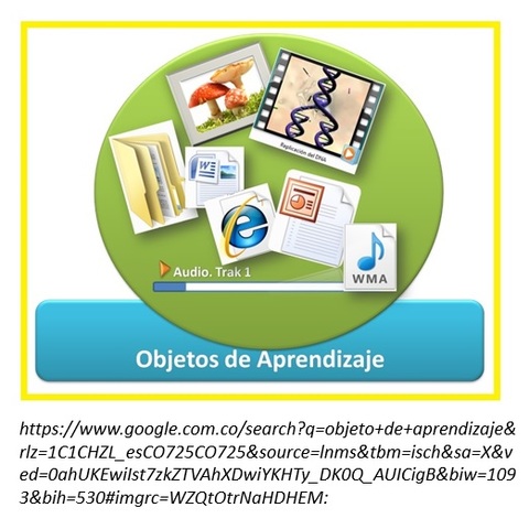 Wayne Hodgins (1994)