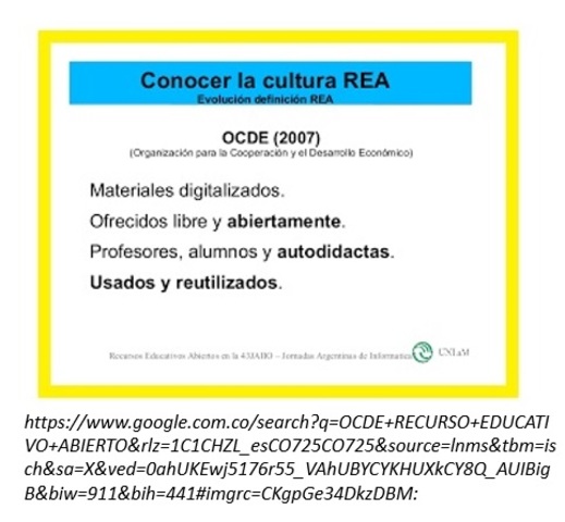 Definición de RED por la OCDE (2007)