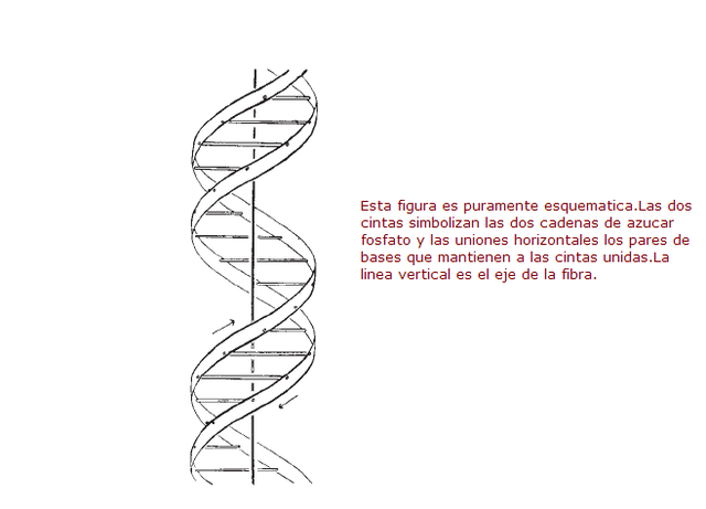 Dibujo De Watson y Crack