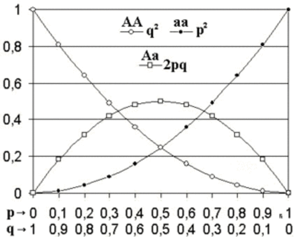 LEY DE HARDY WEINBERG