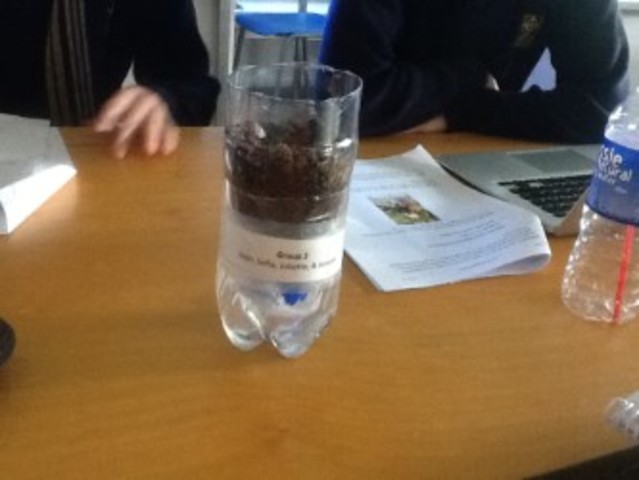 photos of propagator