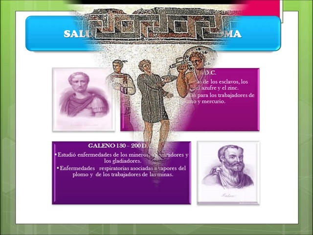 DESCRIBE RED NETALICA