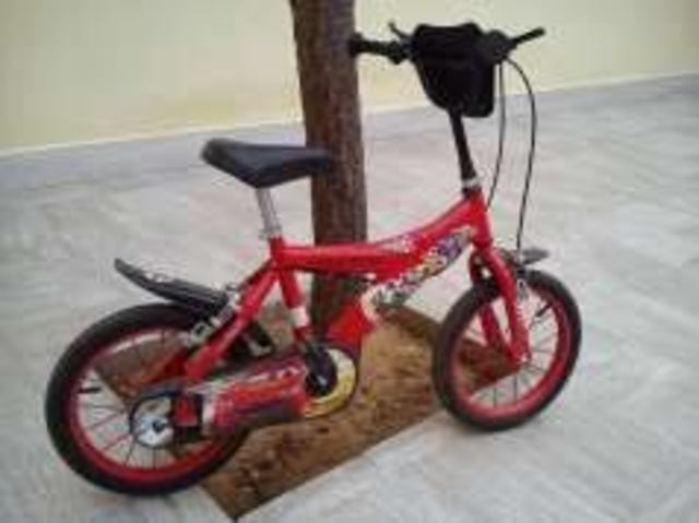 Primera bicicleta