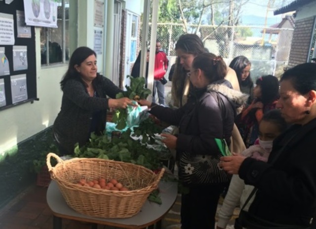 Proyectos de Institucionales.