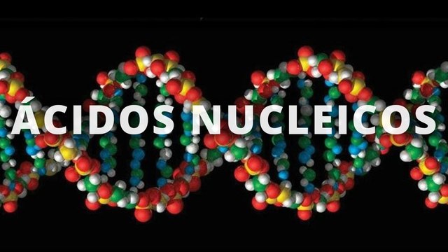 RICHARD ALTMANN DESCRIBE LA NUCLEINA Y LA DENOMINA ÁCIDOS NUCLEICOS