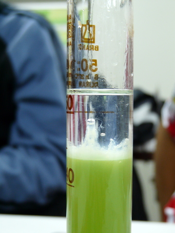 Belozersky extrae ADN completamente puro de las plantas.