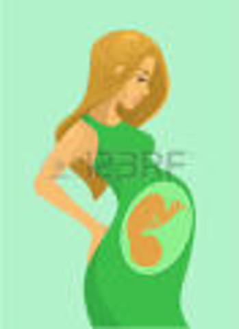 PROTECCION A LA MUJER ENBARAZADA