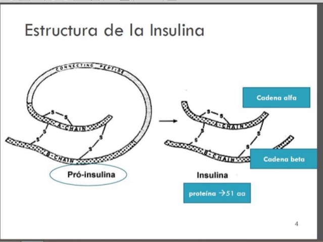 Sanger determina la secuencia de aminoácidos de la insulina.
