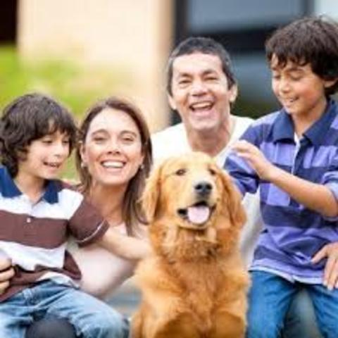 mi vida familiar-2009