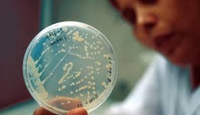 Primer trasplante de un genoma completo.