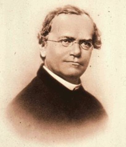 Gregor Mendel (1822-1884)