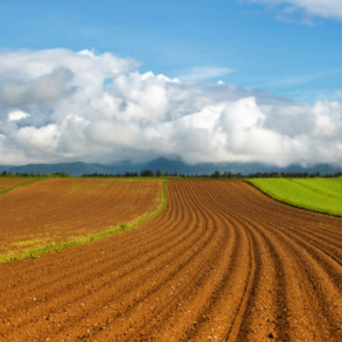 Federal Agriculture Improvement and Reform Act of 1996