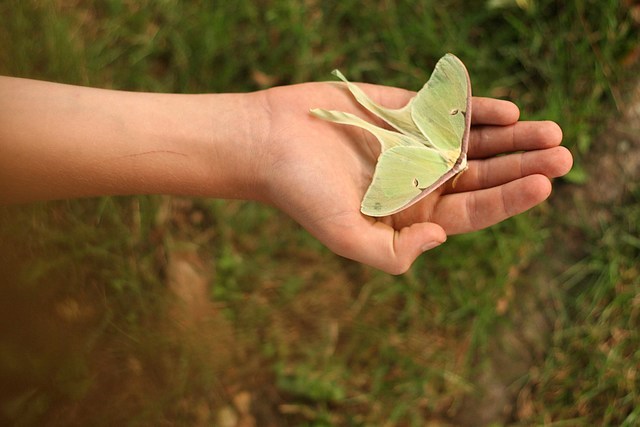 Educación para la Sostenibilidad. Grecia