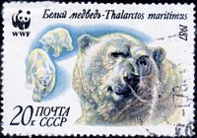 Fundación para la protección de la vida silvestre 1961