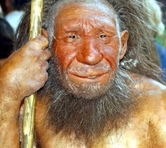 Genoma del Neandertal: