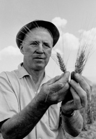 U.S. Agronomist brings about the Green Revolution