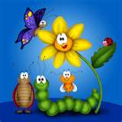 Fermentation-Result of Living Things