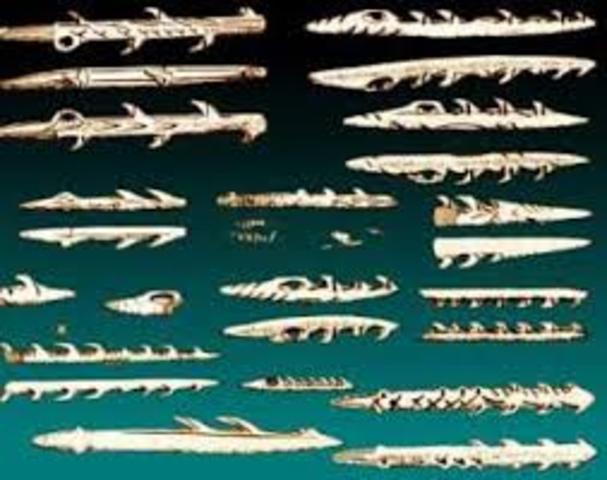 arcos,flechas,y arpones