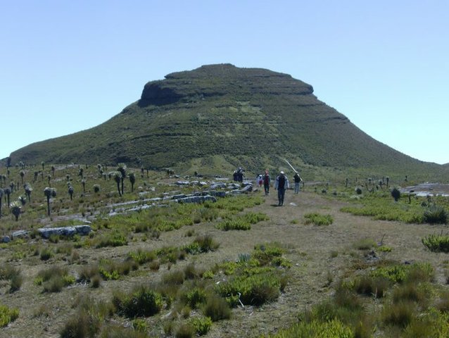 RESOLUCIÓN NÚMERO (0769) 05 agosto 2002