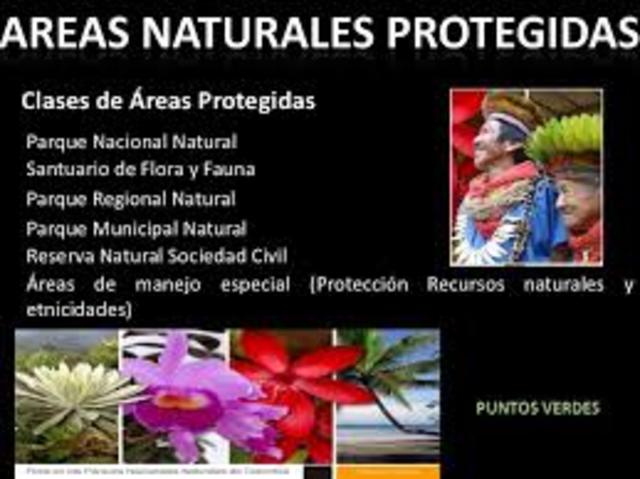 DECRETO 2372 DE 2010