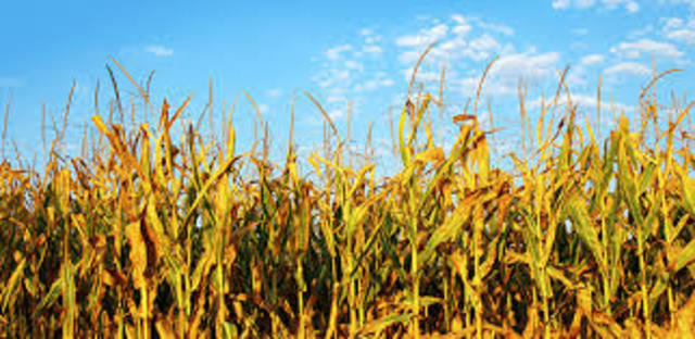 New Deal - Agricultural Adjustment Act or 1933