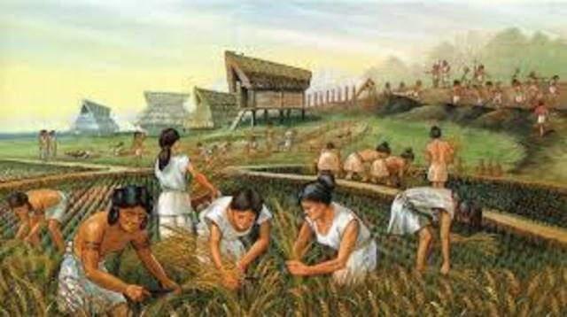 adoption of farming