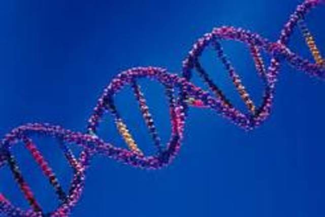 ¿QUE ES LA GENETICA?