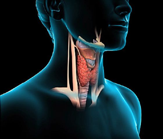 Sixties Topics of Concern: Thyroid problems