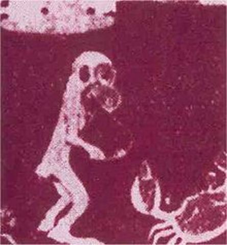 primeras compañías