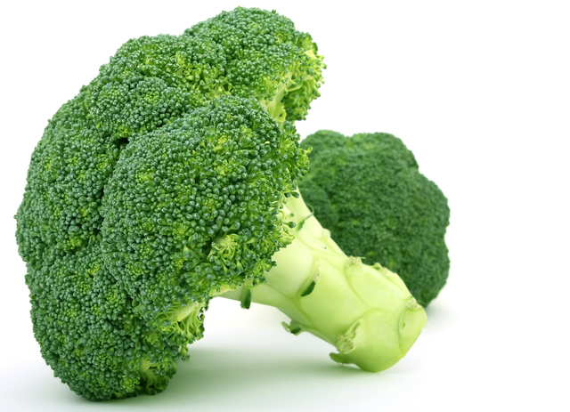 Introduction of Broccoli